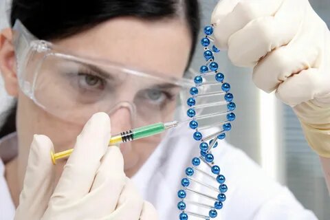 Роль биологических исследований в современной медицине проект