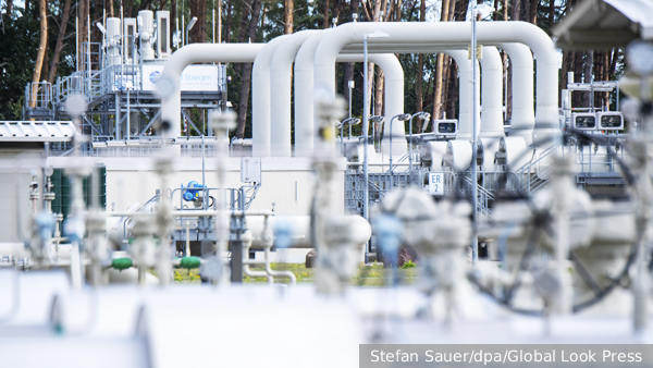     Фото: Stefan Sauer/dpa/Global Look Press   
 Текст: Дарья Григоренко