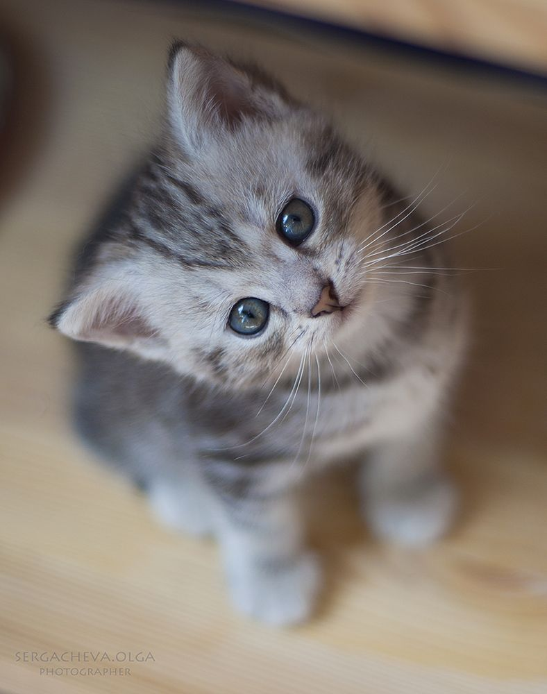 Фото с ru.pinterest.com для примера
