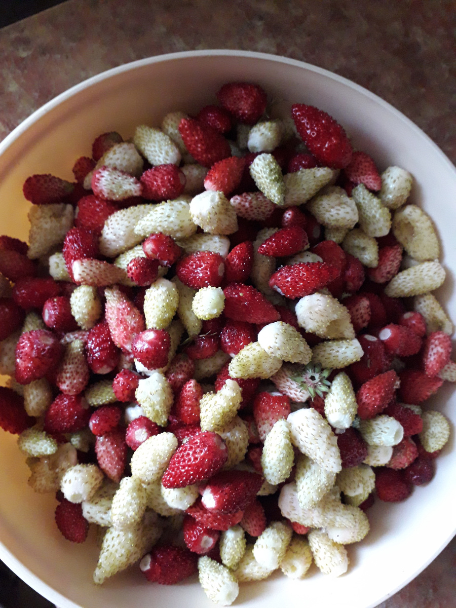 Фото из личного архива