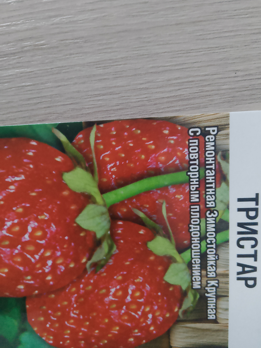 Фото из личного архива