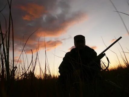 Использовано в качестве иллюстрации