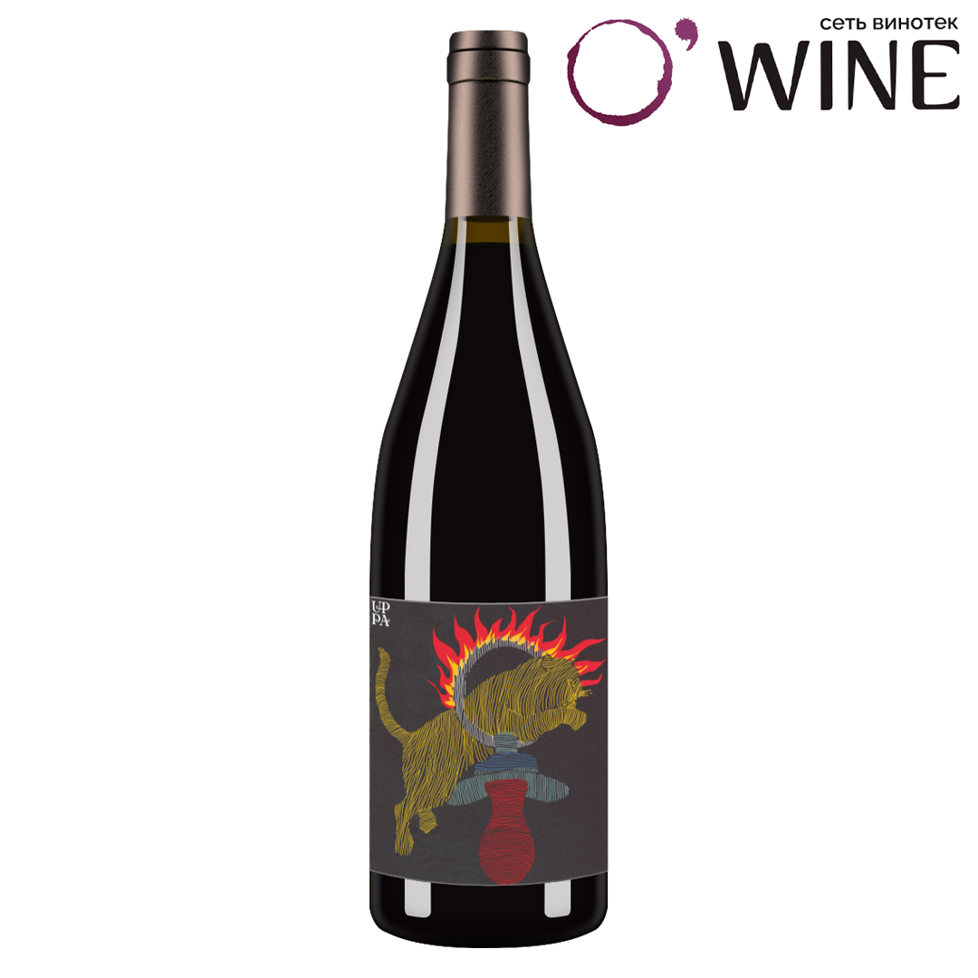 Вино Каберне Совиньон красное сухое 0,75л ПАВЕЛ ШВЕЦ