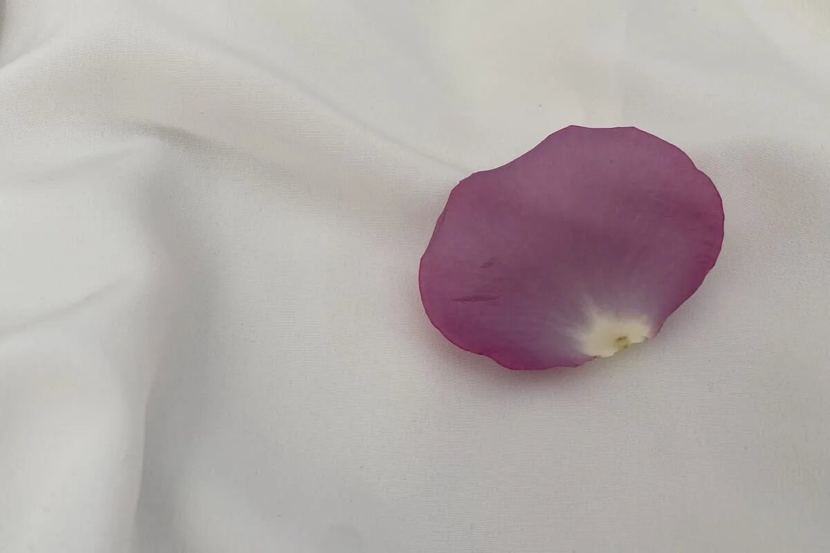 Фото: UfaTime.ru