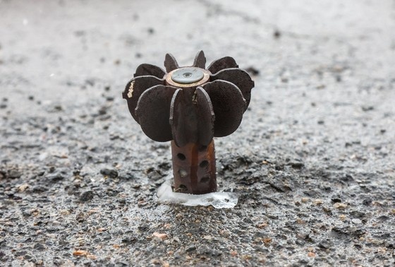    Наталья Шатохина/NEWS.ru