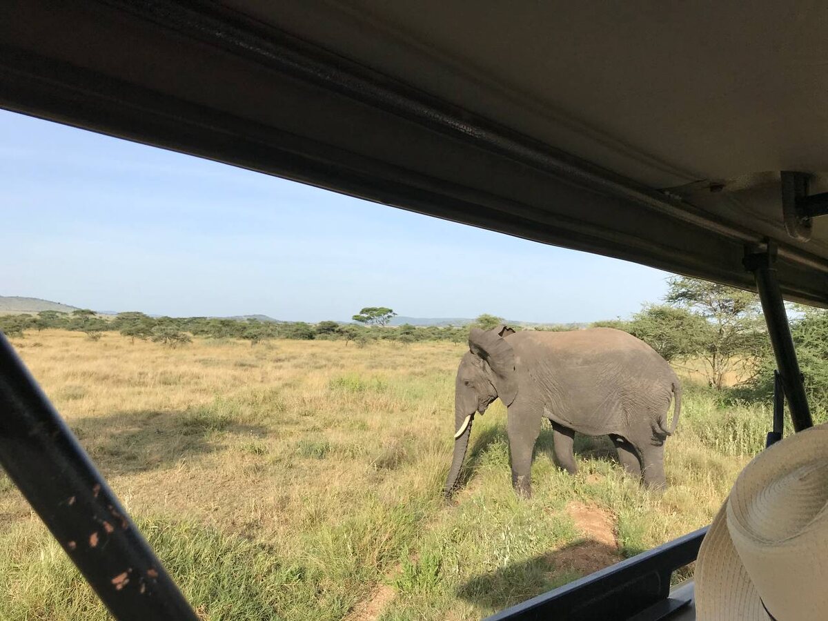 буквально на расстоянии вытянутой руки