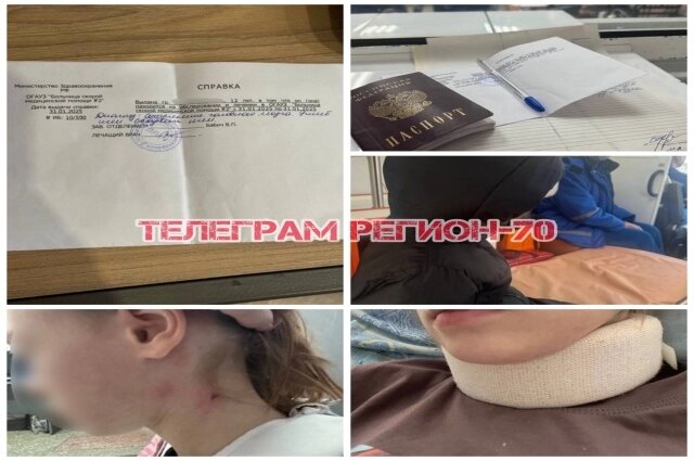    Фото: телеграм-канал «Регион-70 Томск»