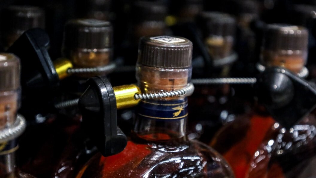    Фото: Elena Mayorova/Global Look Press