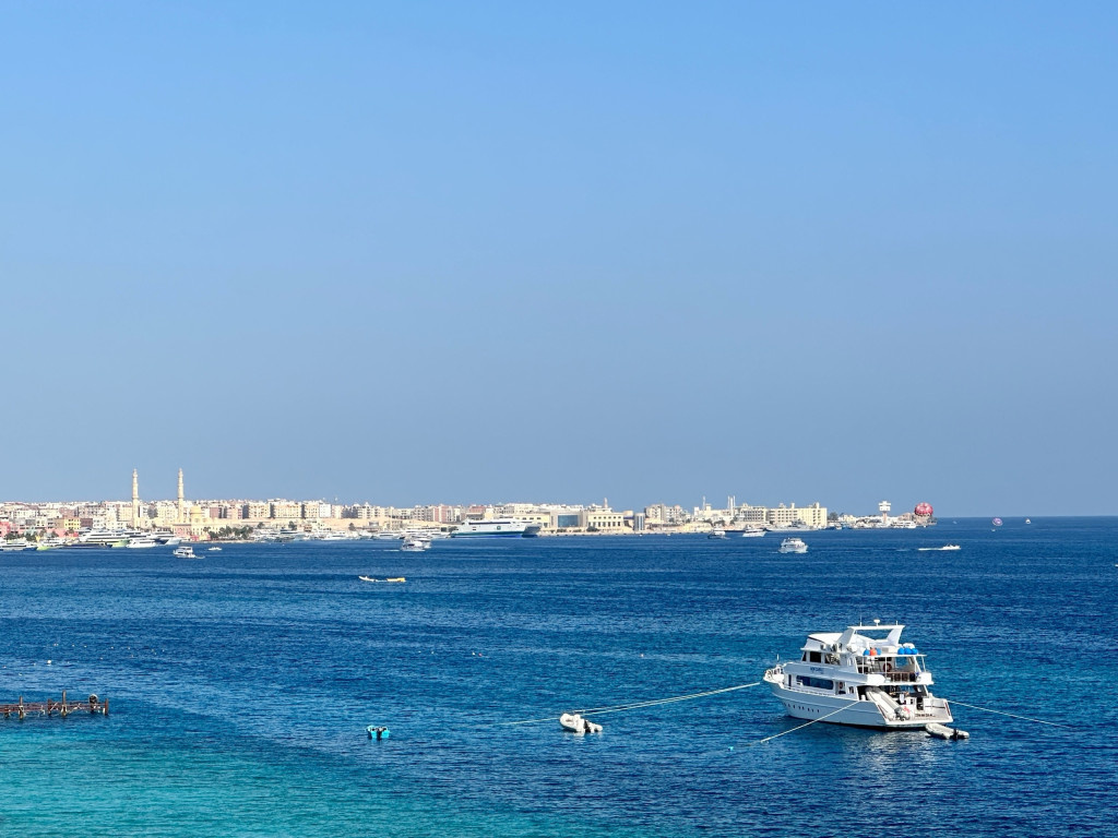 Фото: Тульская служба новостей