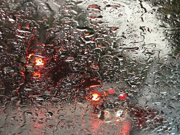    Фото: Юрий Серебренников/BFM Кубань