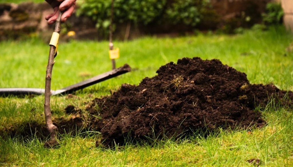 Фото из архива