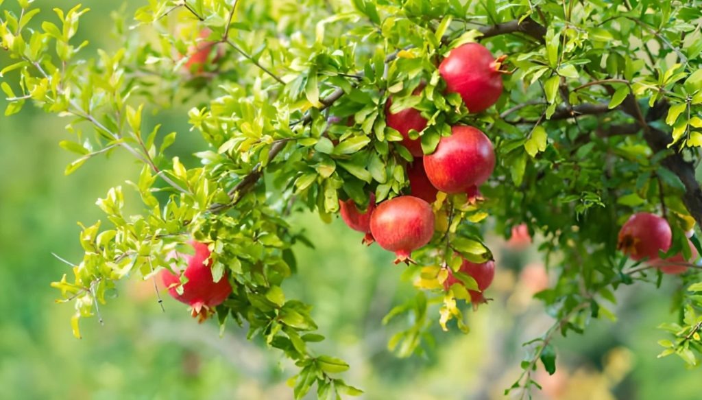 Фото из архива