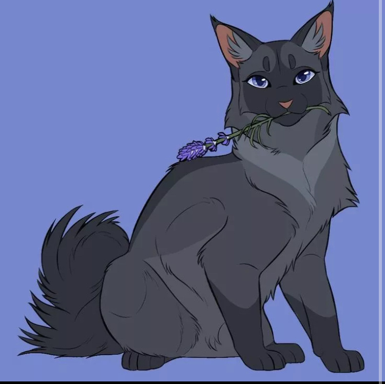 ЮнаяПпепелица