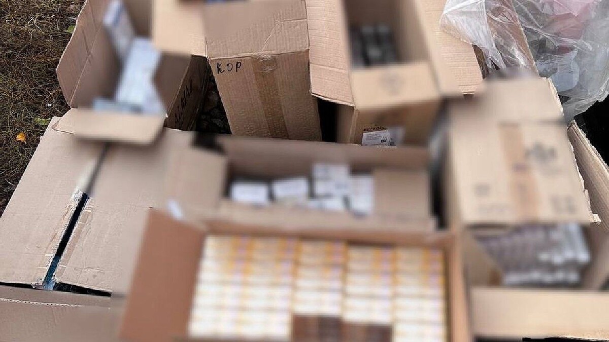    Фото: УМВД России по Краснодару