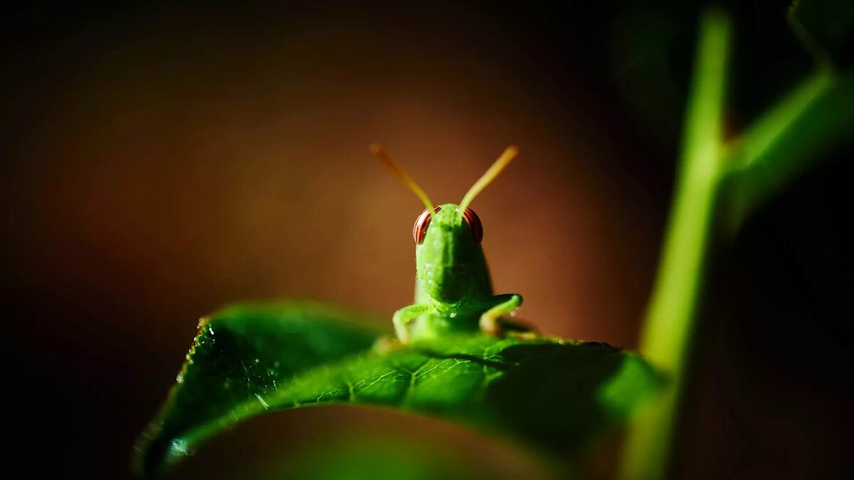     Автор: Unsplash