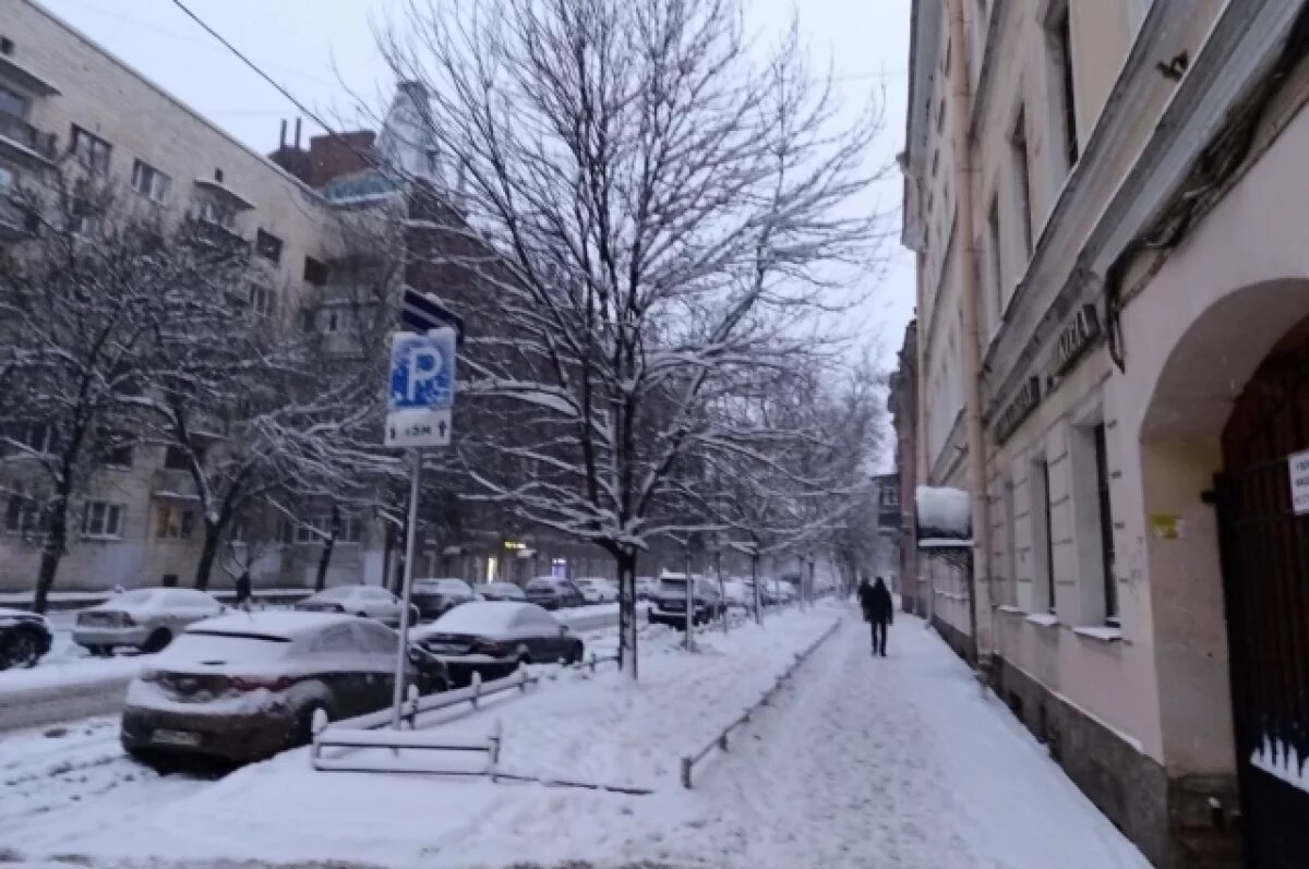    В Петербурге выявили 62 тысячи случаев уклонения от оплаты парковки