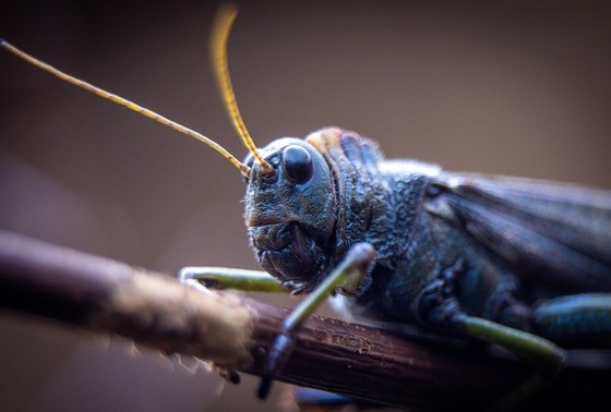    Jens Battner/dpa/Global Look Press