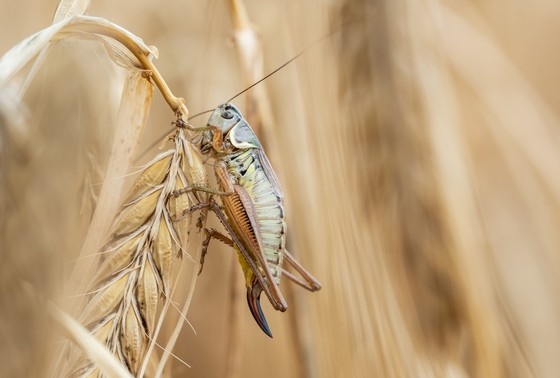    Silas Stein/dpa/Global Look Press