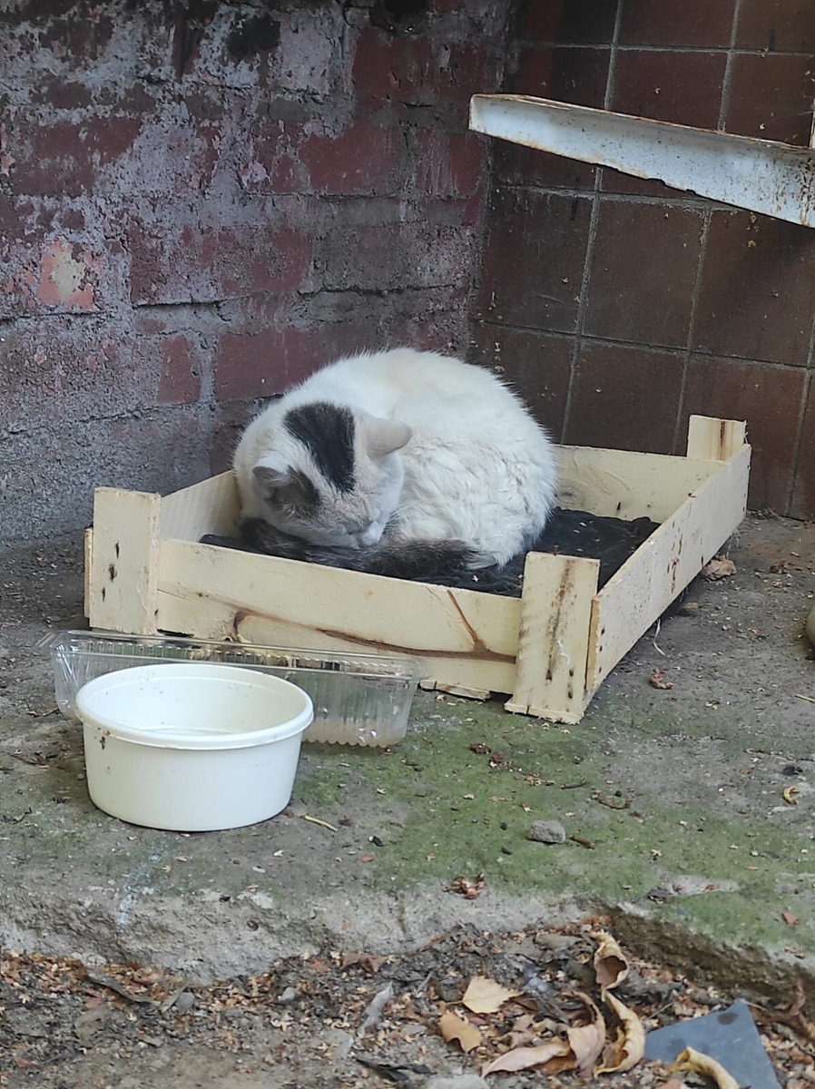 Никто так жить не должен