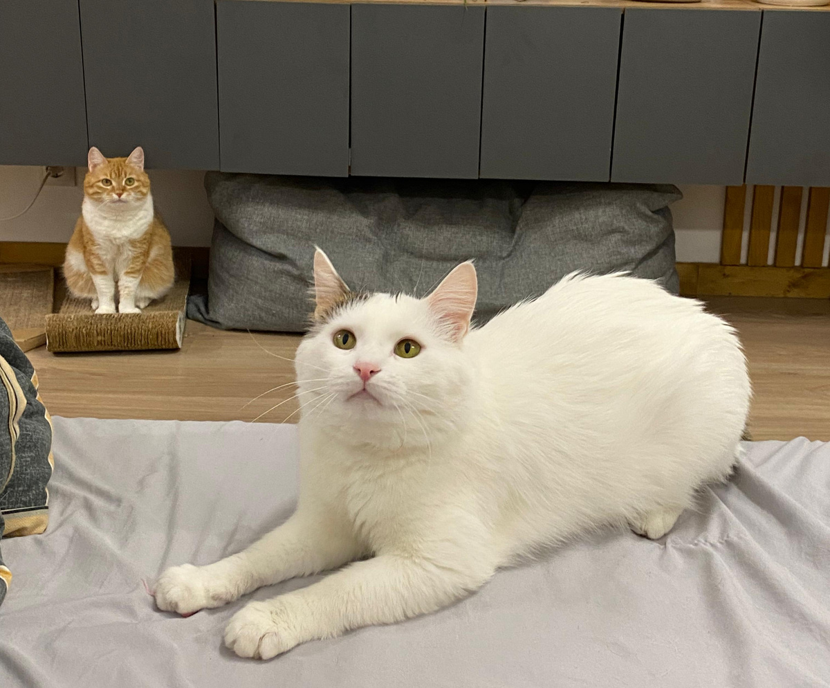 Наши постоянные читатели их точно узнАют