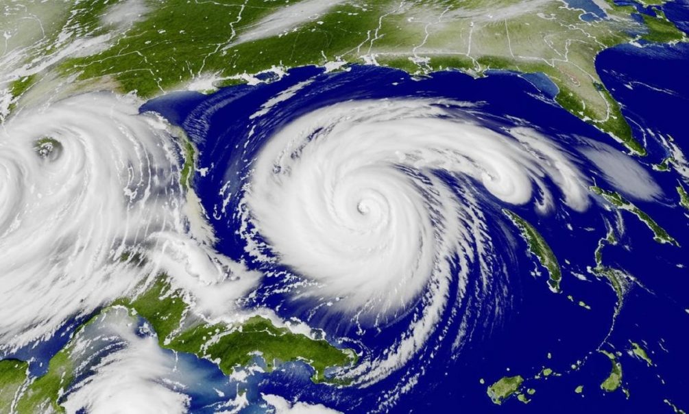   Иллюстрация: "Блокнот"