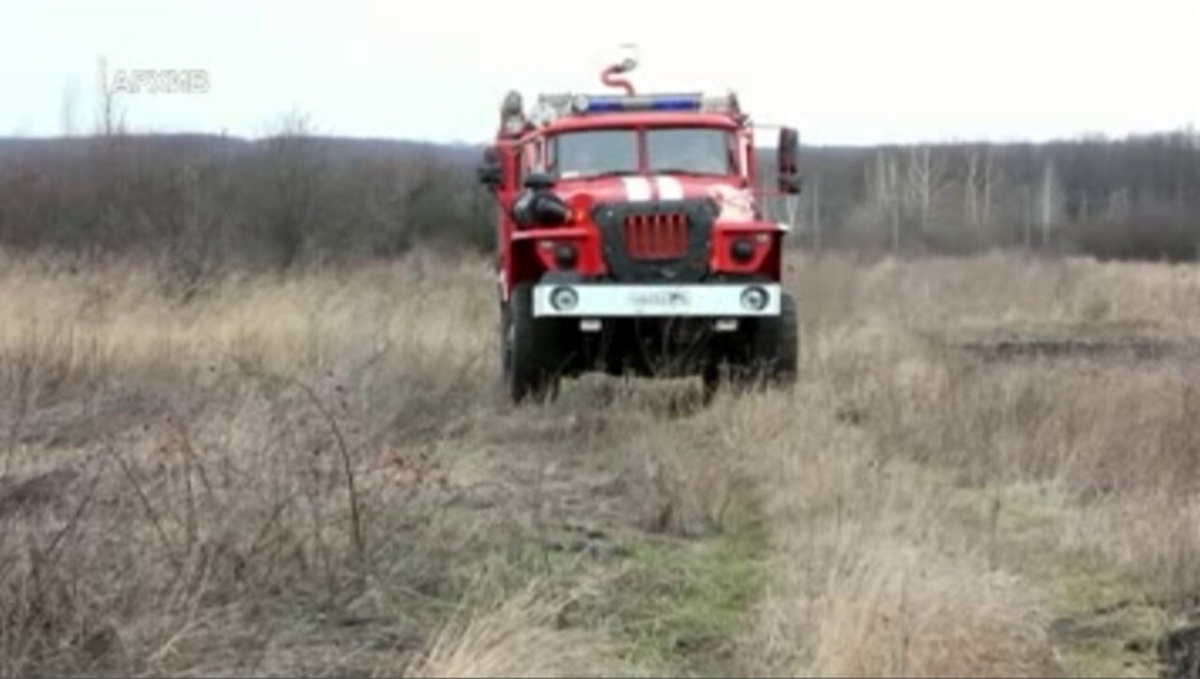    О деятельности спасательного ведомства Курской области