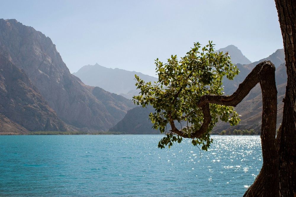 @Dilshod Hojiboev/unsplash
