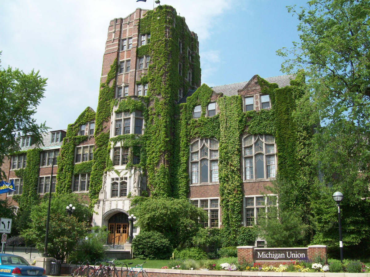 Мичиганский государственный университет