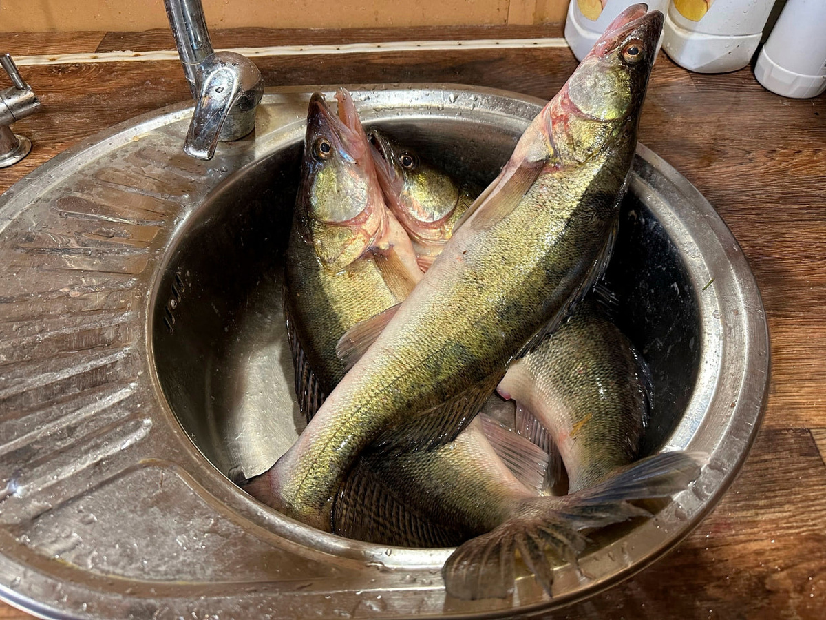 Фото Григория Таскаева с «ПРФ-60»