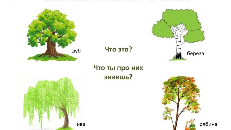 Эта часть диагностики к школе самая сложная или почему школьникам так трудно учиться