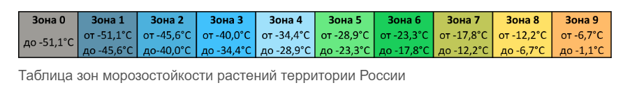 Источник: plantsfinder