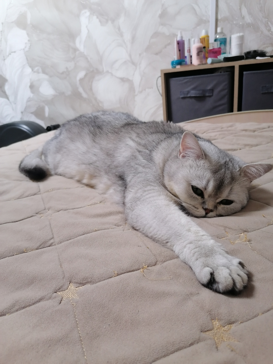 Личное фото автора 