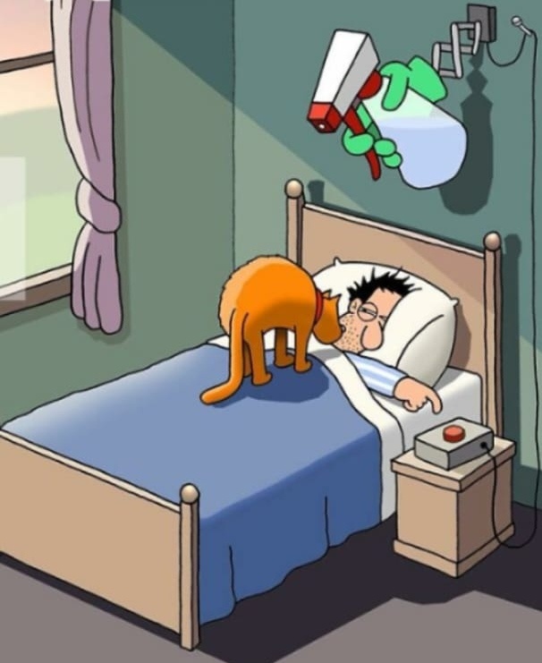 Картинка из интернета.