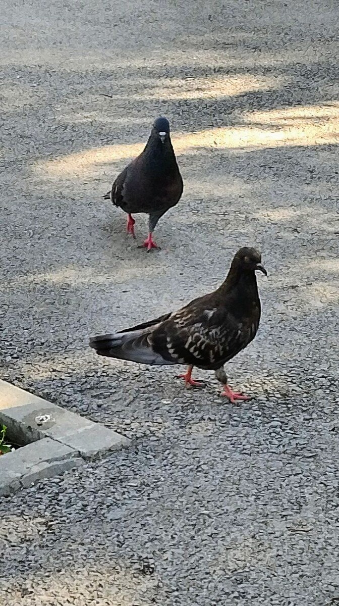 Это фото и далее, из личного архива автора 