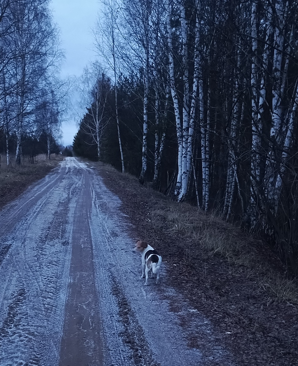 Фото с сегодняшней прогулки