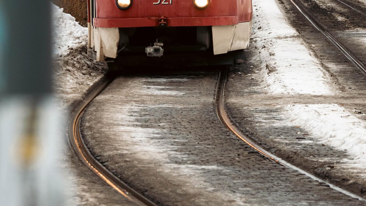    Фото: Anastasia Sorgina/globallookpress.com