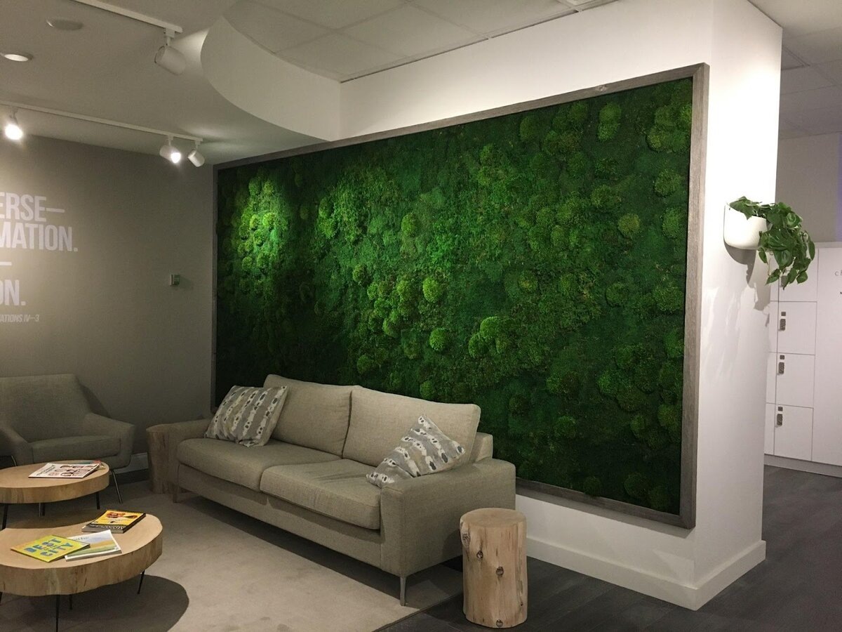 взято из сети