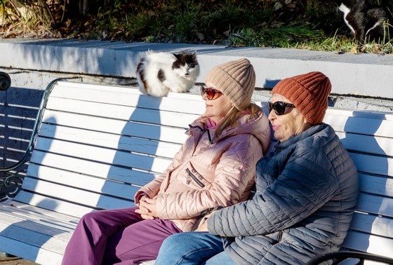    Сергей Петров/NEWS.ru