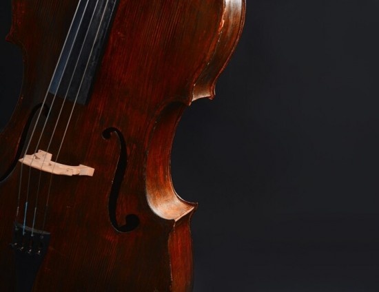    Фото: ru.freepik.com