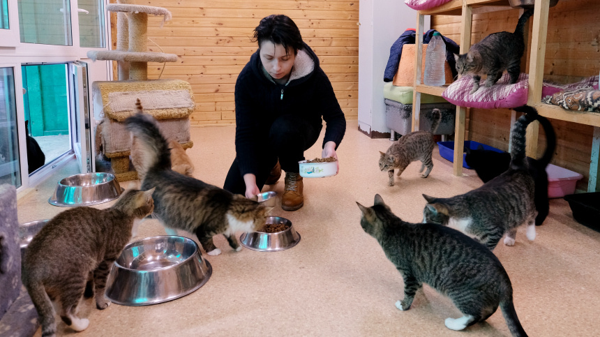    Фото: © РИА Новости/Алексей Майшев