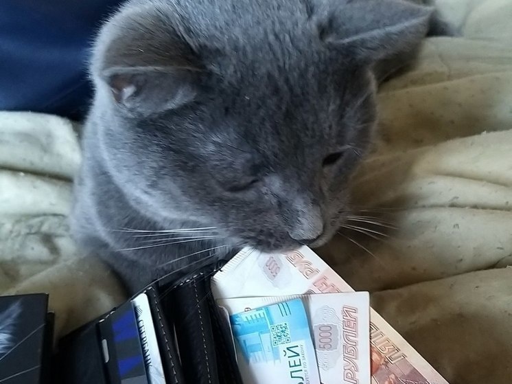     Такое поощрение обычно полагается лучшим сотрудникам. Фото: «МК в Великом Новгороде»