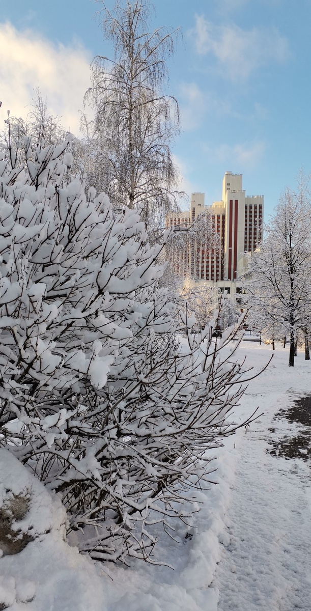 Фото автора. ДВМ