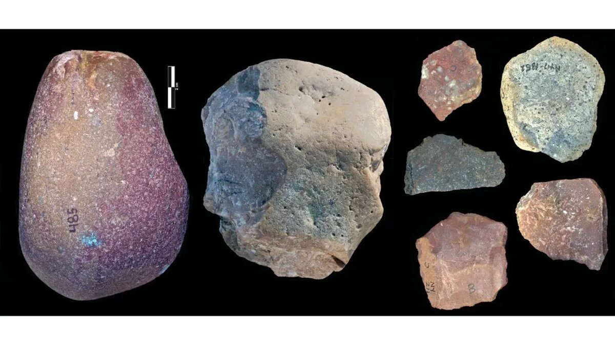 Некоторые инструменты, найденные в кенийской Ньяянге. Древнейшие в мире каменные орудия возрастом 3,3 млн лет были найдены в 2015 году в Кении на стоянке Ломекви 3. Источник: https://www.forbes.ru