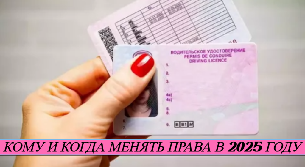 фото источник интернет