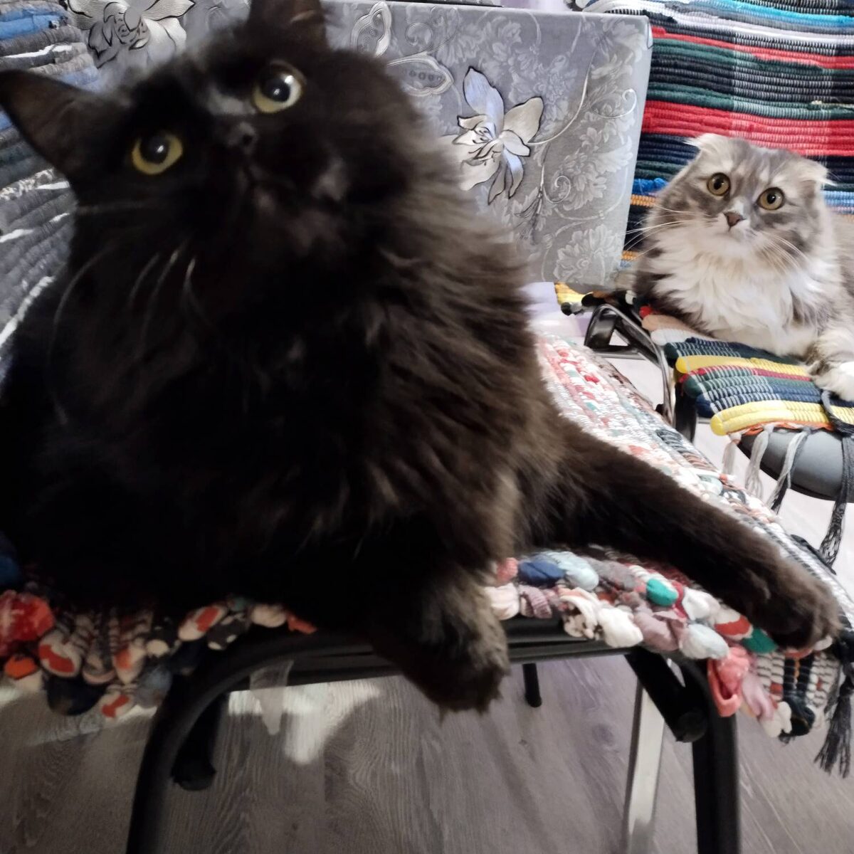 А мы что? Мы - ничего! Оно - само!