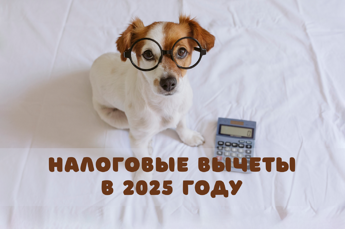 Фото: Shutterstock / eva_blanco