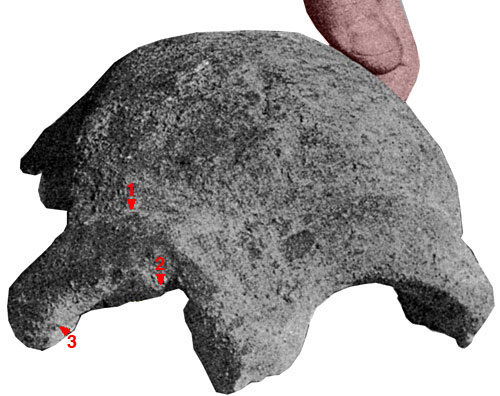 Череп из Лагоа-Санта 