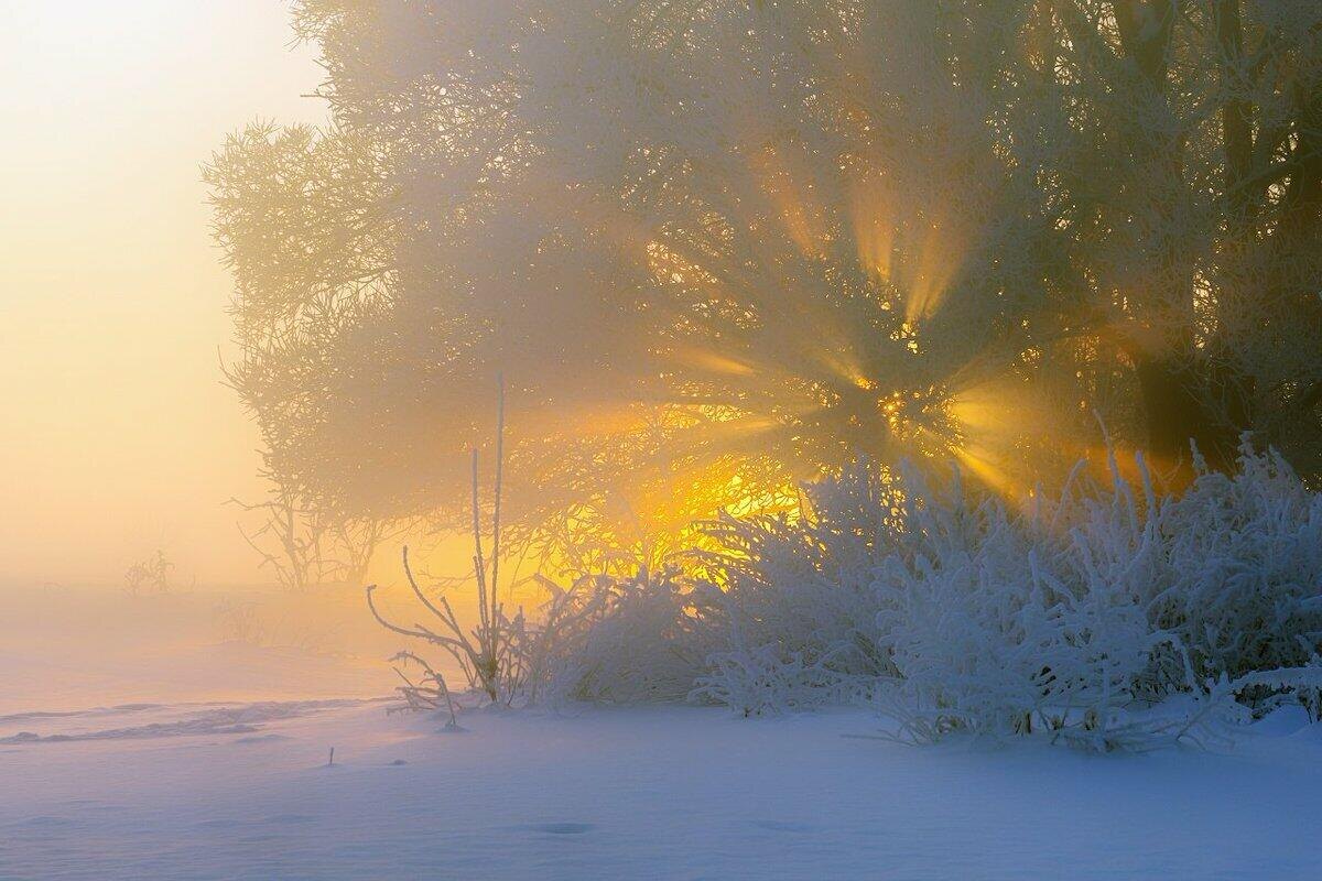 Изображение из открытых источников