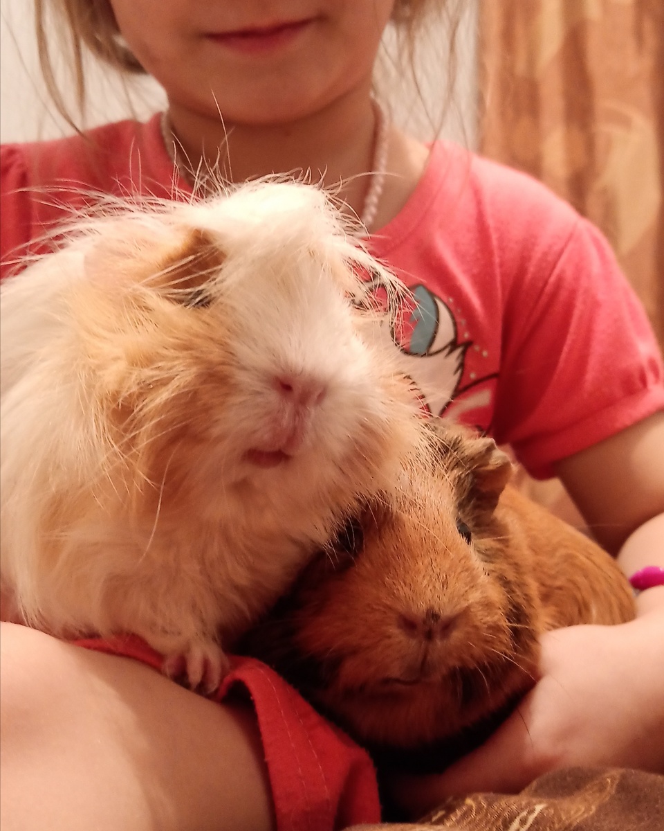 Девчонки специально позируют для этой статьи. Жужа и Морковка