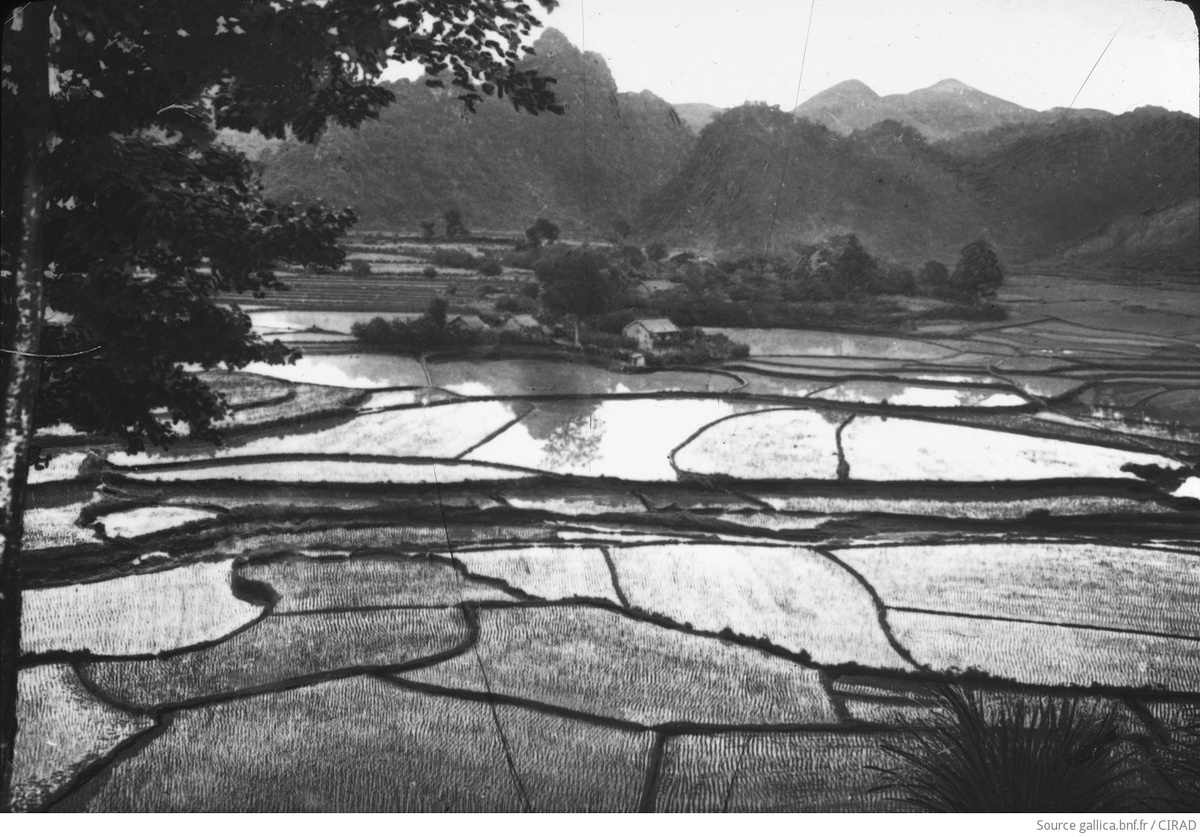 Вид на равнину рисовых полей Донг-Кхе (1909 год)